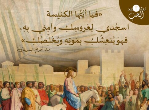 339099327_2868651886601359_7688157252643006539_n